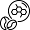 Zajímavosti o kávě