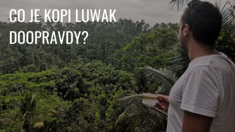 Kopi Luwak aneb byznys o hovně