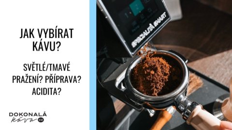 Jak vybírat kávu