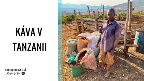 Káva v Tanzanii