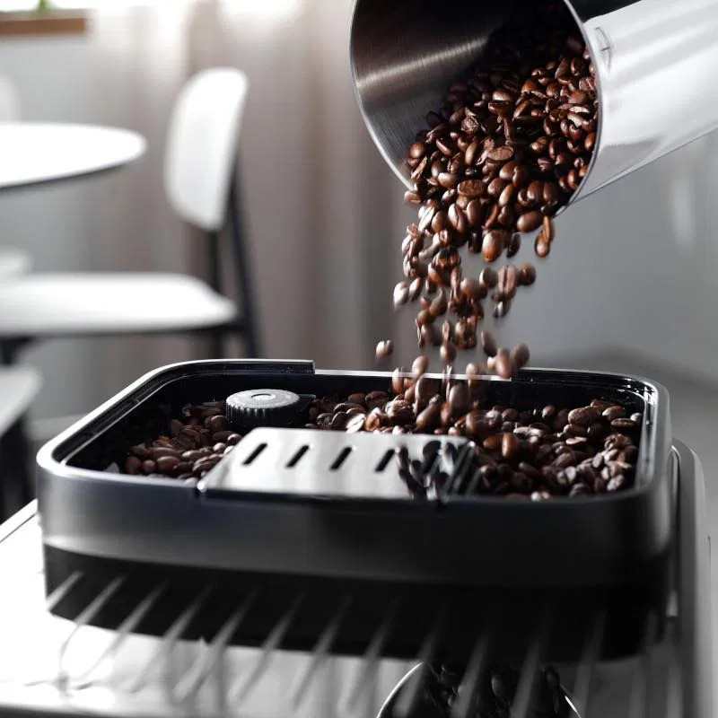 DE'LONGHI Magnifica Evo ECAM 290.61 Black