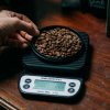 rcg scales3