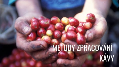 Metody zpracování kávy