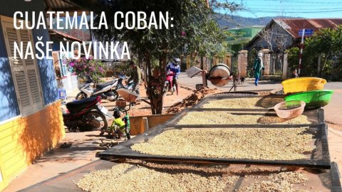 Guatemala Flor de Coban: naše novinka