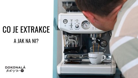 Víte, co je extrakce? Jak na ni?