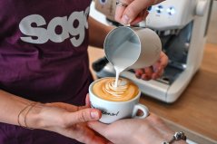 Latte art baristický kurz na domácích kávovarech Sage
